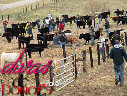 Divas & Donors IV... Thanks for another great year!